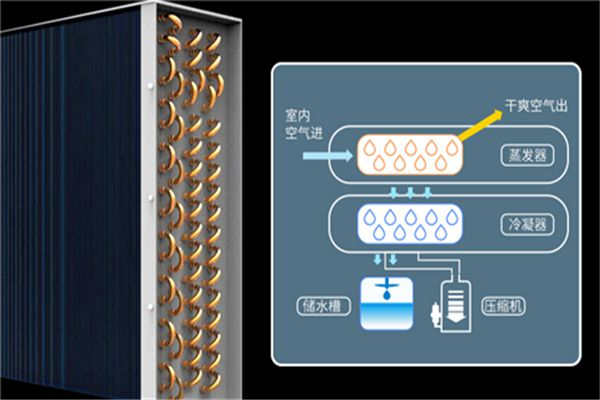 為什么醫(yī)院需要使用除濕機？